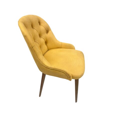 Photoroom_20250114_095524 Photoroom_20250114_095524