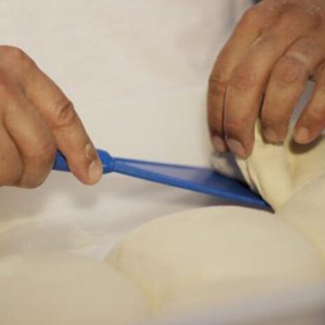 taikinakaavin1 taikinakaavin1