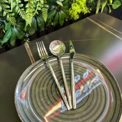 PLATINUM veitsi