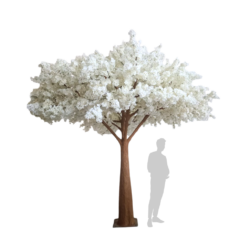 Koristepuu, Italian Flora