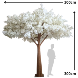 Sisustuspuu, Italian Flora