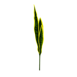 Anopinkieli /Snake Leaf Yellow