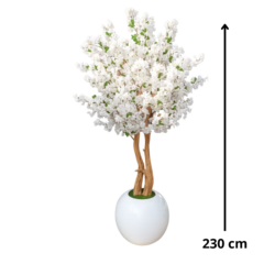 Sisustuspuu, Cherry blossom, Valkoinen