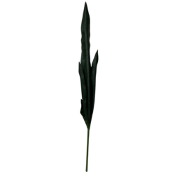 Anopinkieli /Snake Leaf Green